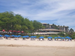 0144a606b66b1ad93b717466a2376f81931c002e36