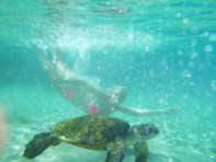 01ebdbb5f9a0abe28861c08ff3dfe161450e3fb82a